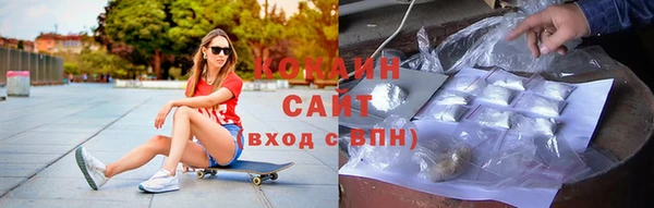 амф Новозыбков