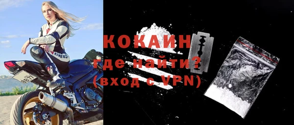 амф Новозыбков