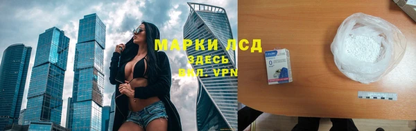 стафф Новодвинск