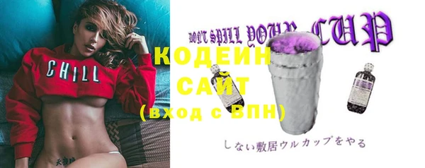 амф Новозыбков