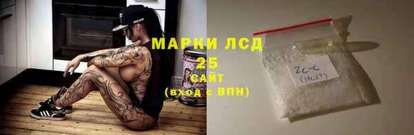стафф Новодвинск