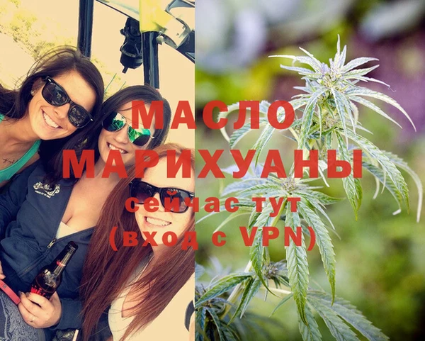 амф Новозыбков
