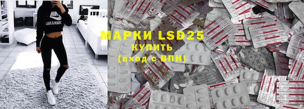 амф Новозыбков