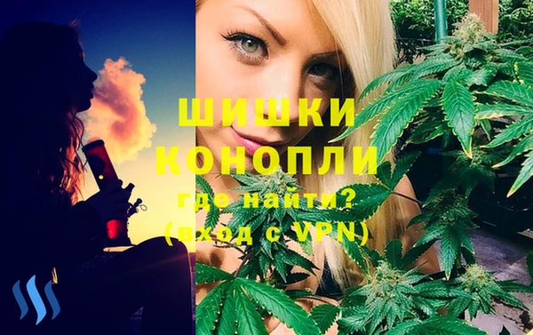 стафф Новодвинск