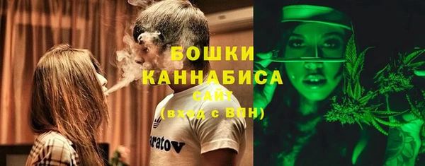 амф Новозыбков