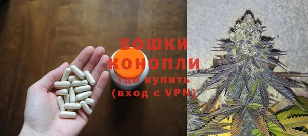 стафф Новодвинск