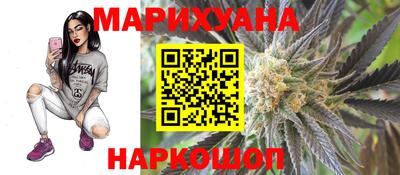 стаф Гатчина