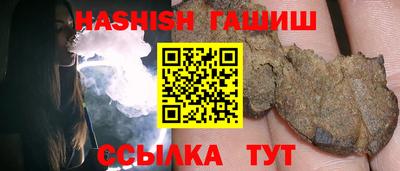 стаф Гатчина