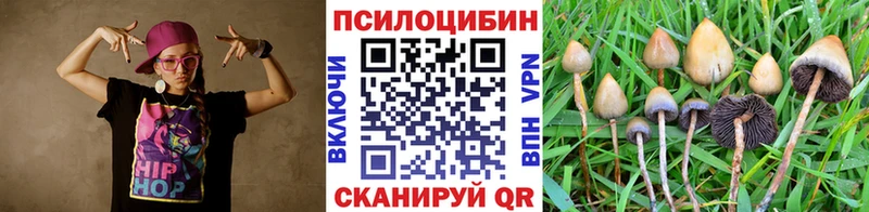 KRAKEN ссылки  Богородск  Галлюциногенные грибы Cubensis 