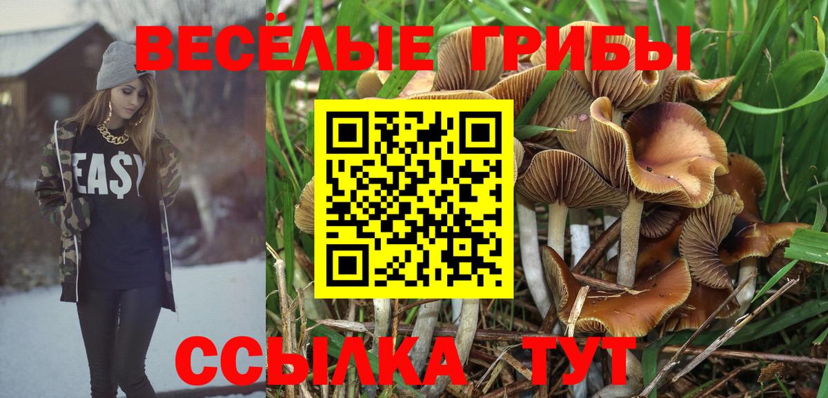 Богородск  Псилоцибиновые грибы Cubensis  Вход с VPN 