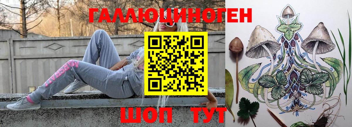 Псилоцибиновые грибы прущие грибы Богородск