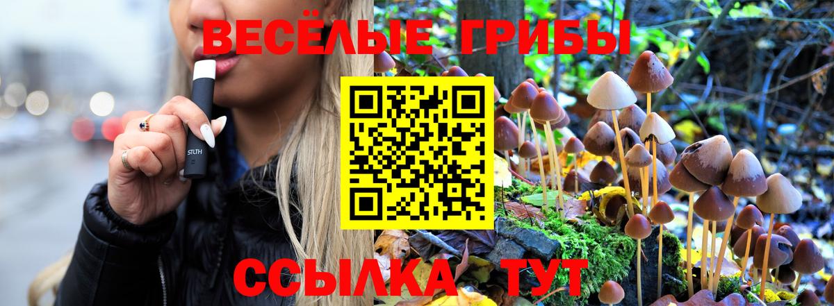 Галлюциногенные грибы ЛСД Богородск
