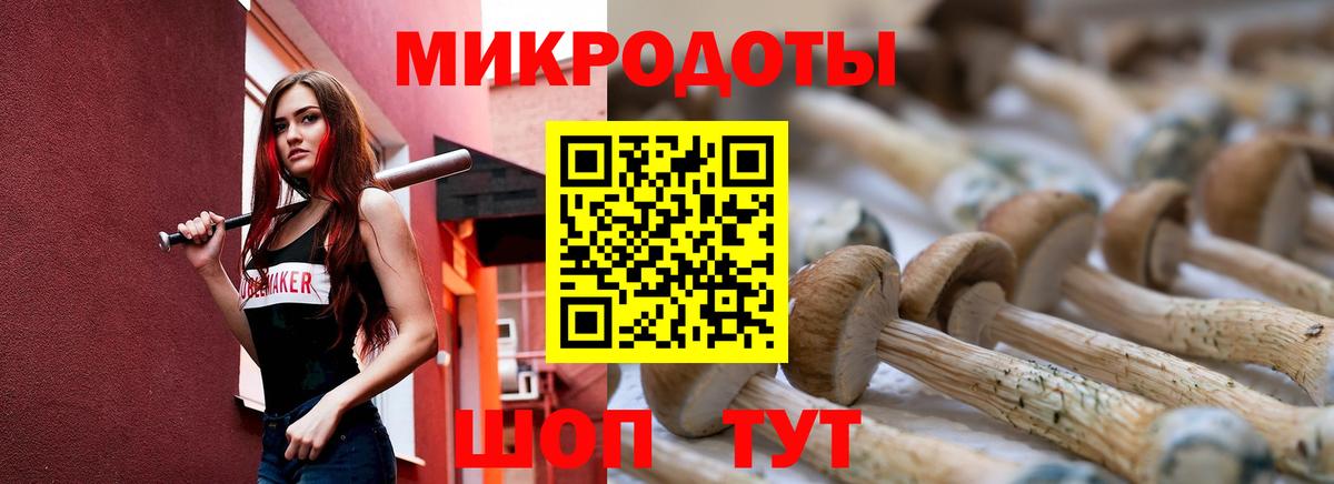 где продают   Вход с VPN  Псилоцибиновые грибы прущие грибы  Богородск  Галлюциногенные грибы MAGIC MUSHROOMS 