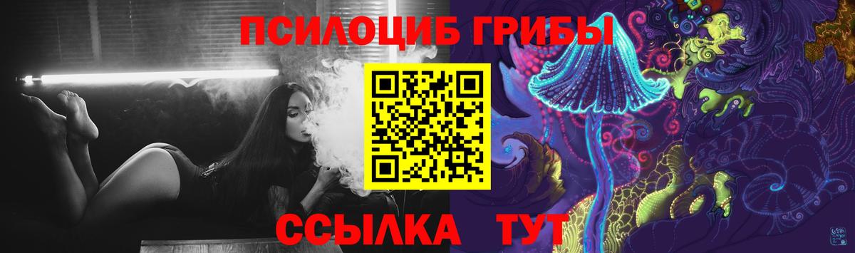 Псилоцибиновые грибы Psilocybine cubensis Богородск